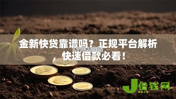 金新快贷靠谱吗？正规平台解析，快速借款必看！