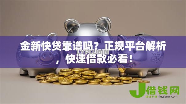 金新快贷靠谱吗？正规平台解析，快速借款必看！