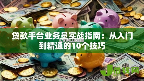 贷款平台业务员实战指南:从入门到精通的10个技巧 贷款平台业务员实战指南:从入门到精通的10个技巧
