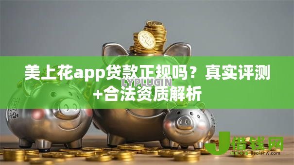 美上花app贷款正规吗？真实评测+合法资质解析