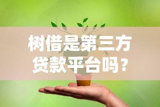树借是第三方贷款平台吗？贷款用户必看的深度解析