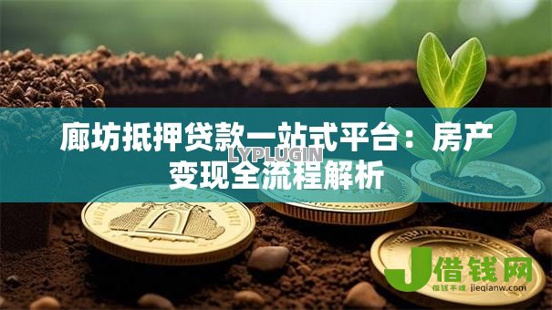 廊坊抵押贷款一站式平台:房产变现全流程解析 廊坊抵押贷款一站式平台:房产变现全流程解析