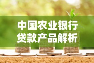 中国农业银行贷款产品解析及申请指南