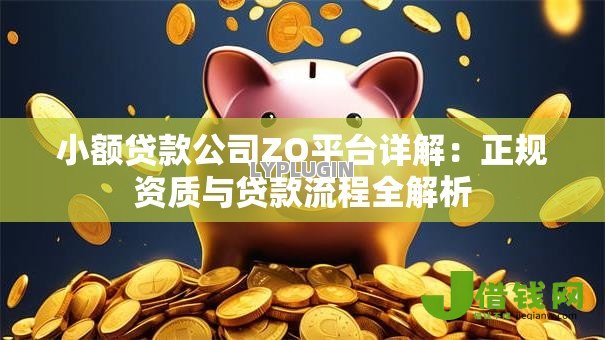 小额贷款公司ZO平台详解：正规资质与贷款流程全解析