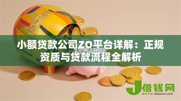 小额贷款公司ZO平台详解：正规资质与贷款流程全解析