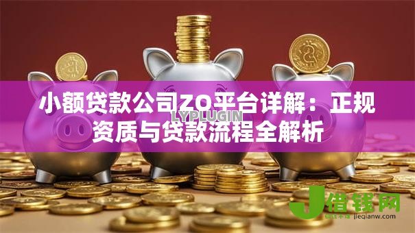 小额贷款公司ZO平台详解：正规资质与贷款流程全解析
