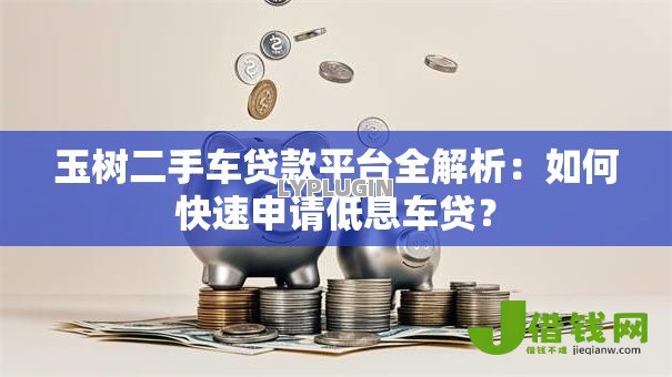 玉树二手车贷款平台全解析：如何快速申请低息车贷？