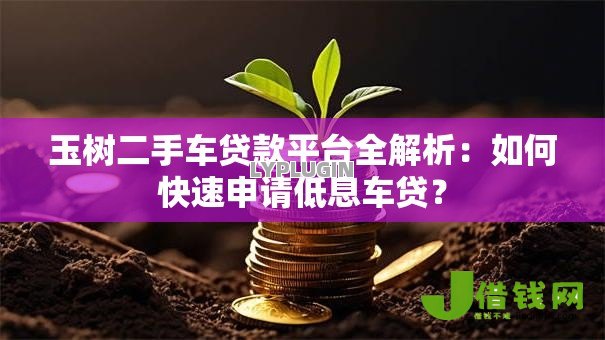 玉树二手车贷款平台全解析：如何快速申请低息车贷？