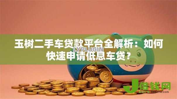 玉树二手车贷款平台全解析：如何快速申请低息车贷？