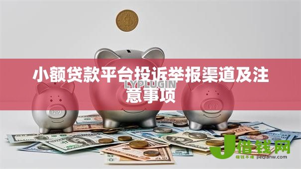 小额贷款平台投诉举报渠道及注意事项