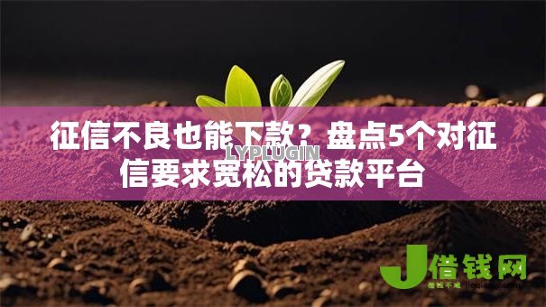 征信不良也能下款？盘点5个对征信要求宽松的贷款平台