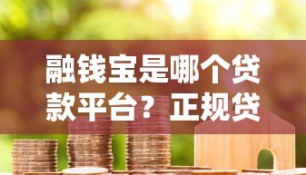 融钱宝是哪个贷款平台？正规贷款平台解析及用户指南