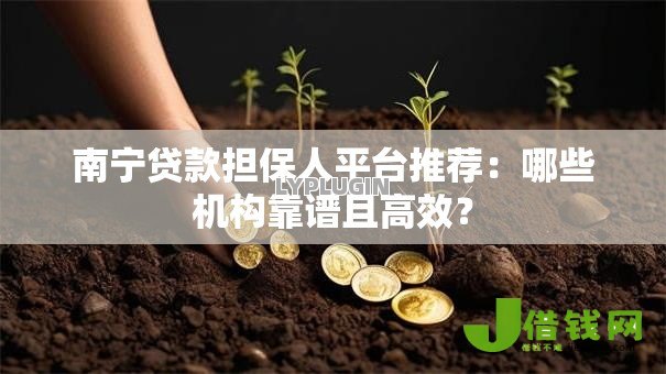 南宁贷款担保人平台推荐：哪些机构靠谱且高效？