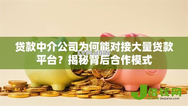贷款中介公司为何能对接大量贷款平台？揭秘背后合作模式