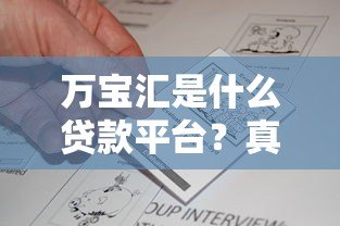 万宝汇是什么贷款平台？真实评测与用户反馈解析