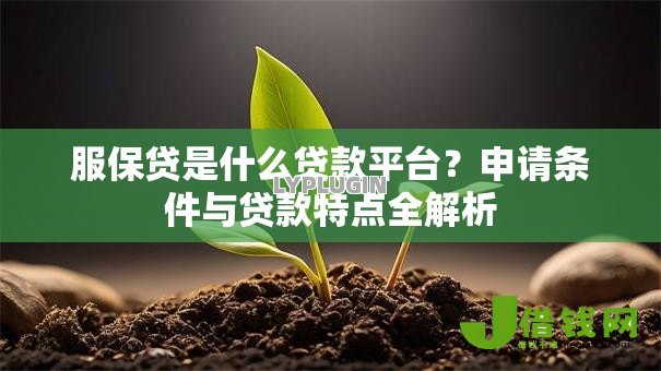 服保贷是什么贷款平台？申请条件与贷款特点全解析