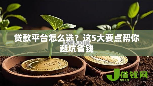 贷款平台怎么选？这5大要点帮你避坑省钱