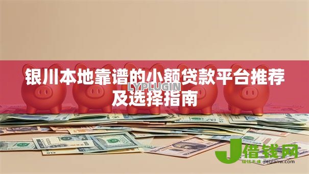 银川本地靠谱的小额贷款平台推荐及选择指南