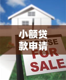 小额贷款申请总被拒?揭秘6大常见原因及补救方法 小额贷款申请总被拒?揭秘6大常见原因及补救方法
