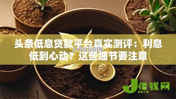 头条低息贷款平台真实测评：利息低到心动？这些细节要注意