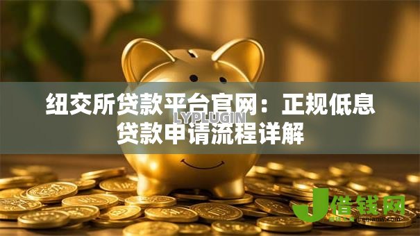 纽交所贷款平台官网：正规低息贷款申请流程详解