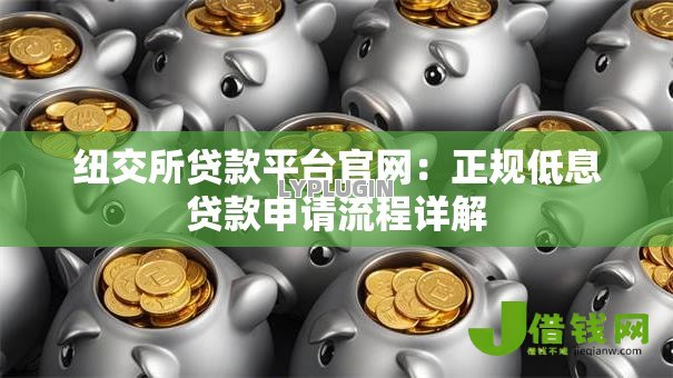 纽交所贷款平台官网：正规低息贷款申请流程详解