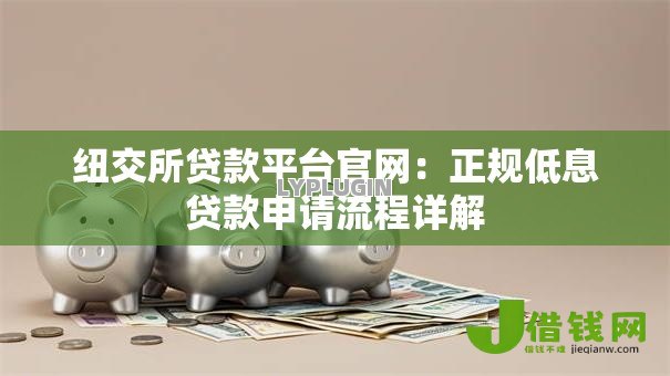 纽交所贷款平台官网：正规低息贷款申请流程详解