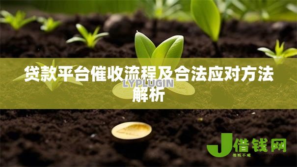 贷款平台催收流程及合法应对方法解析 贷款平台催收流程及合法应对方法解析