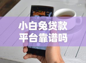 小白兔贷款平台靠谱吗？真实用户评测及使用注意事项