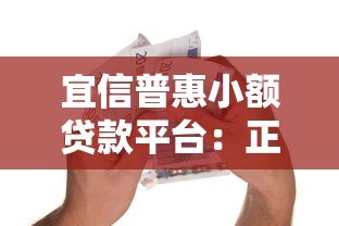宜信普惠小额贷款平台：正规可靠的快速借款选择