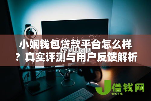 小娴钱包贷款平台怎么样？真实评测与用户反馈解析