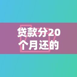 贷款分20个月还的平台有哪些？低息分期方案解析