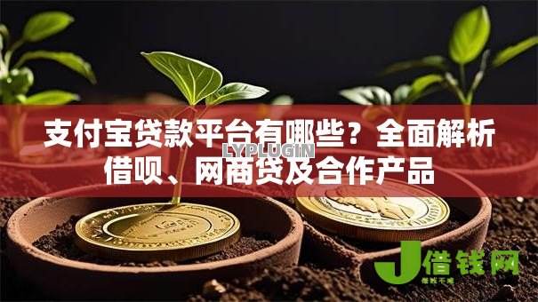 支付宝贷款平台有哪些?全面解析借呗、网商贷及合作产品 支付宝贷款平台有哪些?全面解析借呗、网商贷及合作产品