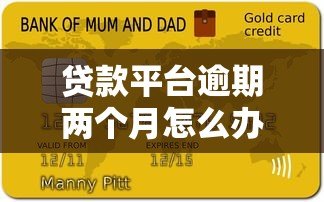 贷款平台逾期两个月怎么办？应对策略全解析
