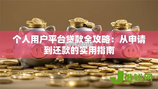 个人用户平台贷款全攻略:从申请到还款的实用指南 个人用户平台贷款全攻略:从申请到还款的实用指南