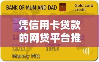 凭信用卡贷款的网贷平台推荐及申请全攻略 凭信用卡贷款的网贷平台推荐及申请全攻略