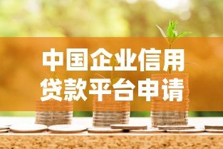 中国企业信用贷款平台申请指南：流程、条件与风险分析