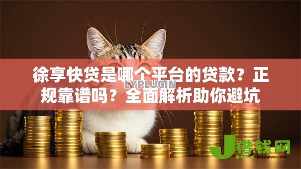 徐享快贷是哪个平台的贷款？正规靠谱吗？全面解析助你避坑