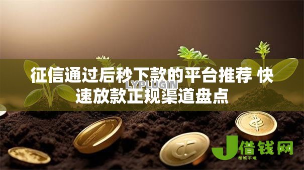 征信通过后秒下款的平台推荐 快速放款正规渠道盘点 征信通过后秒下款的平台推荐 快速放款正规渠道盘点