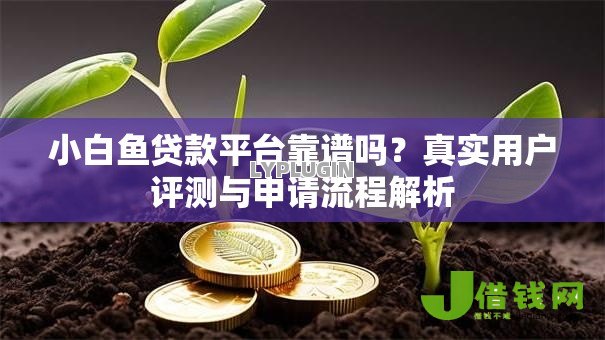 小白鱼贷款平台靠谱吗?真实用户评测与申请流程解析 小白鱼贷款平台靠谱吗?真实用户评测与申请流程解析