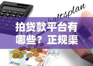 拍贷款平台有哪些？正规渠道解析及申请指南
