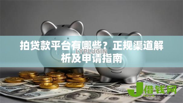 拍贷款平台有哪些？正规渠道解析及申请指南