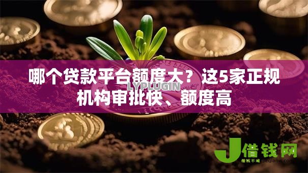 哪个贷款平台额度大？这5家正规机构审批快、额度高