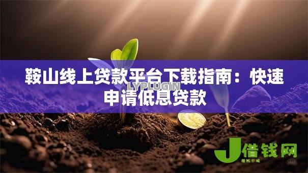 鞍山线上贷款平台下载指南：快速申请低息贷款