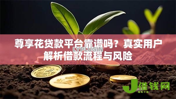 尊享花贷款平台靠谱吗?真实用户解析借款流程与风险 尊享花贷款平台靠谱吗?真实用户解析借款流程与风险