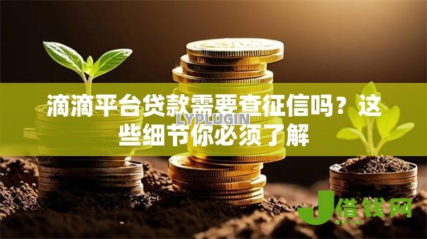 滴滴平台贷款需要查征信吗?这些细节你必须了解 滴滴平台贷款需要查征信吗?这些细节你必须了解
