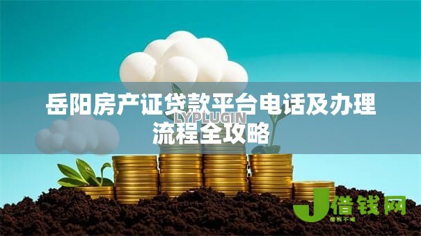 岳阳房产证贷款平台电话及办理流程全攻略 岳阳房产证贷款平台电话及办理流程全攻略