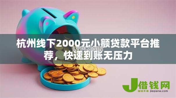 杭州线下2000元小额贷款平台推荐，快速到账无压力