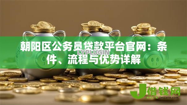 朝阳区公务员贷款平台官网：条件、流程与优势详解