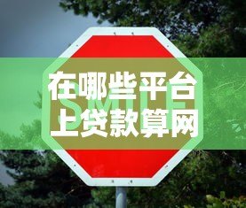 在哪些平台上贷款算网贷？这10类渠道必须知道